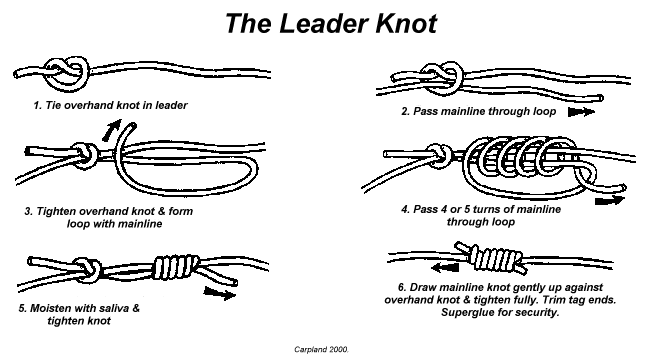 leader knot