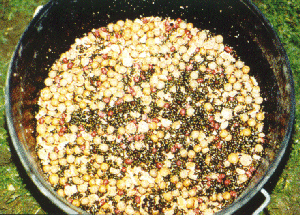 Spod mix, containing Hemp, Groats & mini boilies