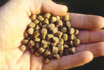 trout pellets